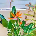 Appartamento Evasion Jardin, Parking Privé Gratuit, Climatisé, Wi-fi, à 5mn Plage, Confort *