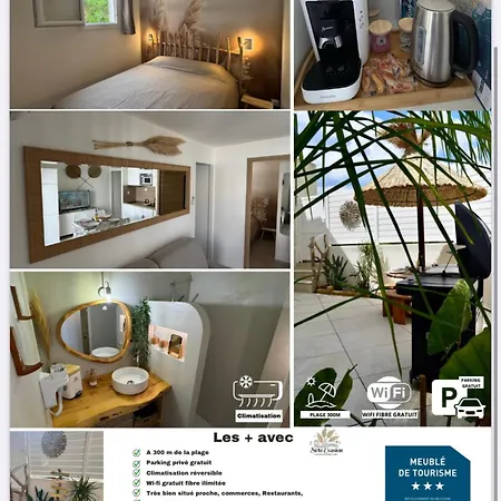 Evasion Jardin, Parking Prive Gratuit, Climatise, Wi-fi, A 5mn Plage, Confort * セット