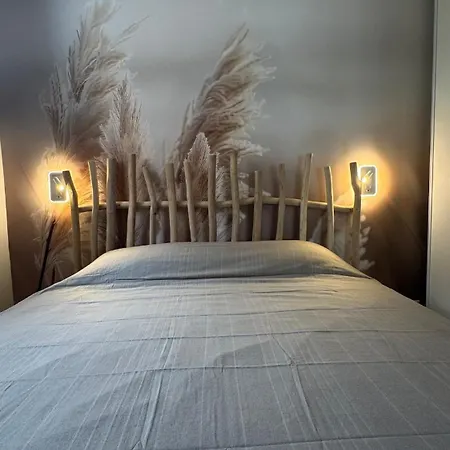 Apartment Evasion Jardin, Parking Prive Gratuit, Climatise, Wi-fi, A 5mn Plage, Confort *
