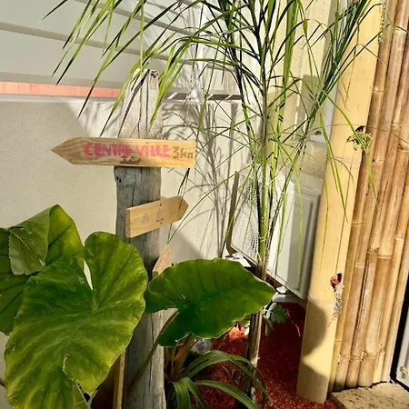 Evasion Jardin, Parking Prive Gratuit, Climatise, Wi-fi, A 5mn Plage, Confort Sète