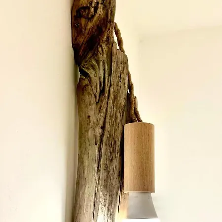 Evasion Jardin, Parking Prive Gratuit, Climatise, Wi-fi, A 5mn Plage, Confort Lägenhet