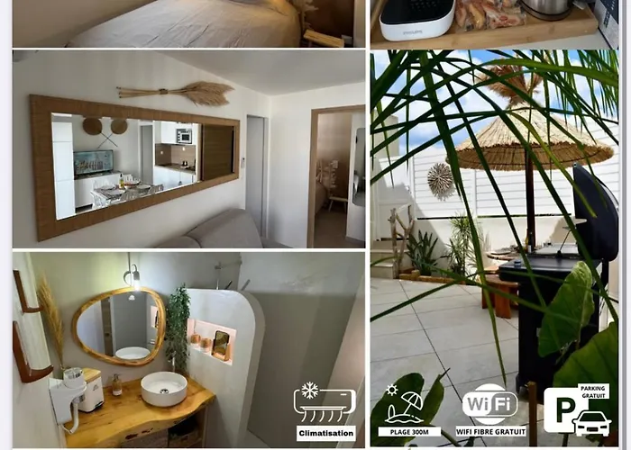 Evasion Jardin, Parking Privé Gratuit, Climatisé, Wi-fi, à 5mn Plage, Confort * Sète
