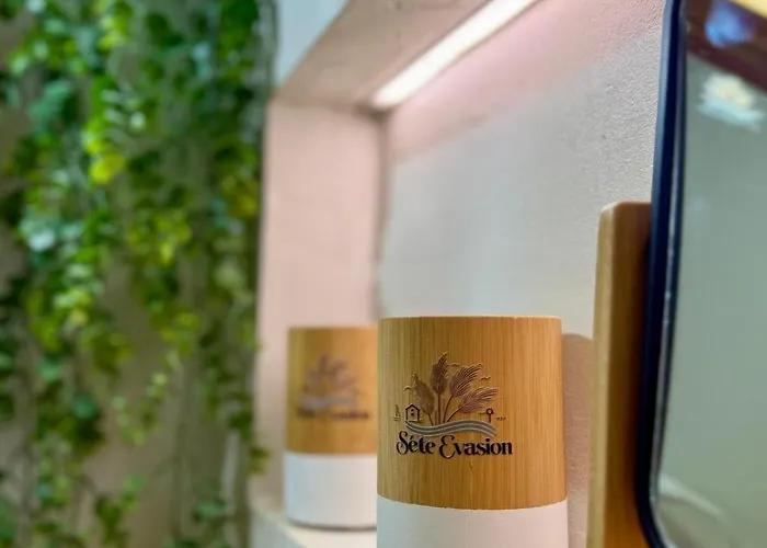 Evasion Jardin, Parking Privé Gratuit, Climatisé, Wi-fi, à 5mn Plage, Confort Sète