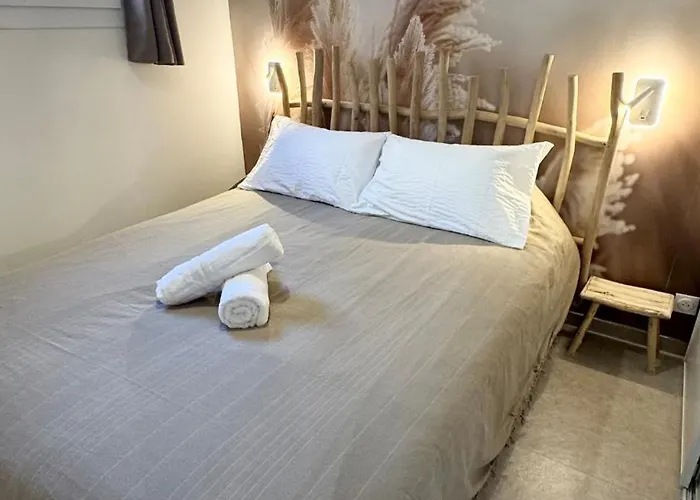 Appartamento Evasion Jardin, Parking Privé Gratuit, Climatisé, Wi-fi, à 5mn Plage, Confort